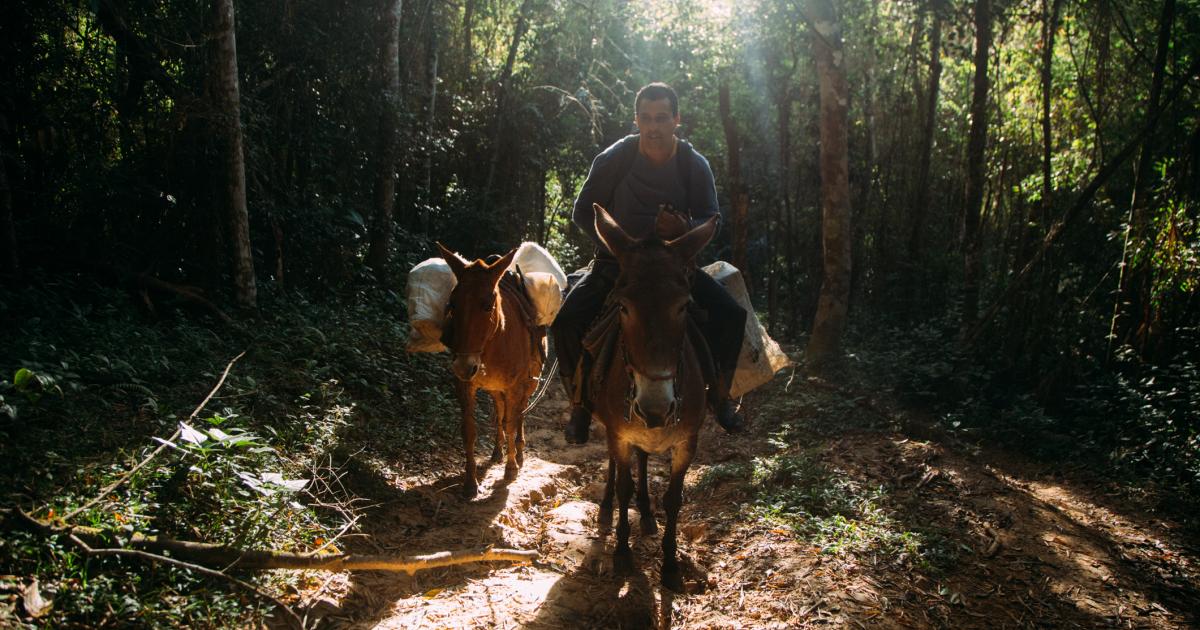 The Road to Quilombo': In São Paulo, quilombolas fight for a road